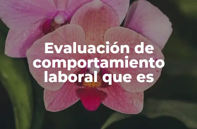 Evaluación de Comportamiento Laboral que es