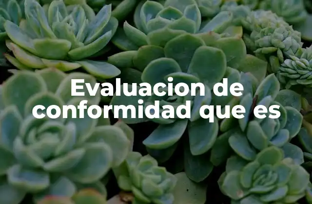 Evaluacion de Conformidad que es