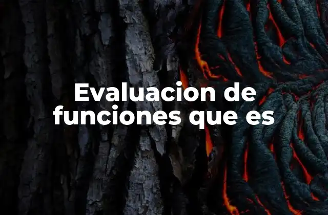 Evaluacion de Funciones que es 2 La importancia de analizar el comportamiento de una función
