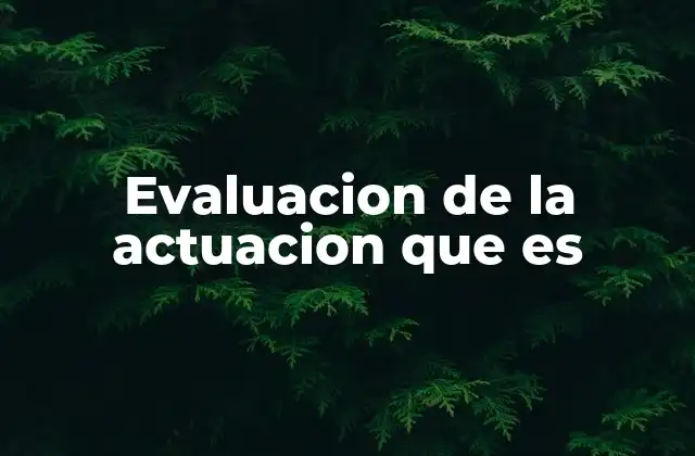 Evaluacion de la Actuacion que es