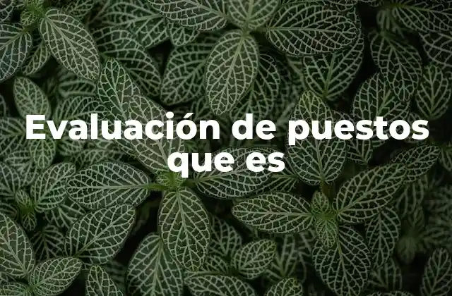 Evaluación de Puestos que es
