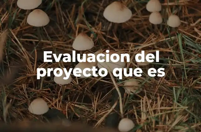 Evaluacion Del Proyecto que es 2 La importancia de medir el progreso y resultados
