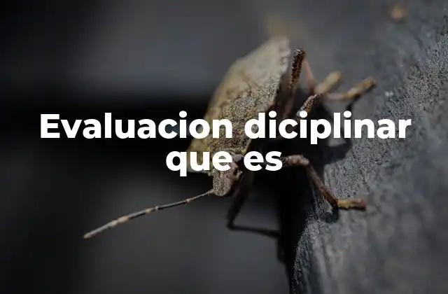 Evaluacion Diciplinar que es