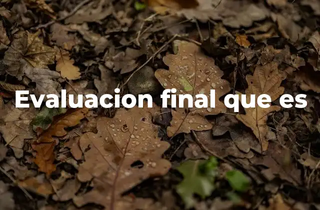 Evaluacion Final que es