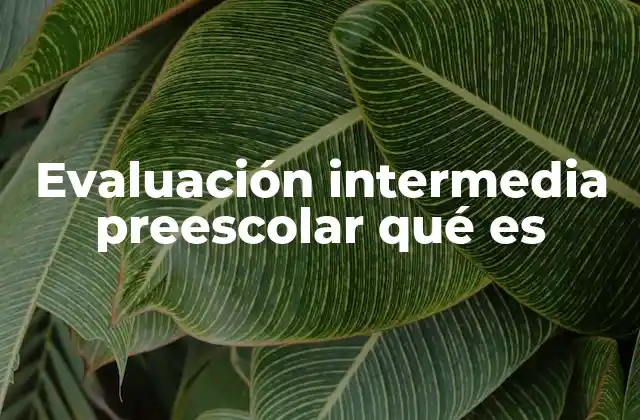 Evaluación Intermedia Preescolar Qué es