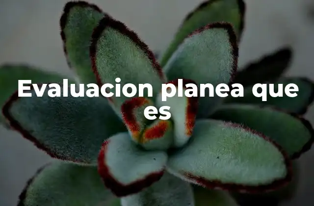 La importancia de una evaluación planificada en el aula