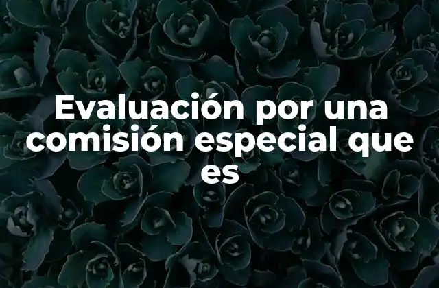 Evaluación por una Comisión Especial que es
