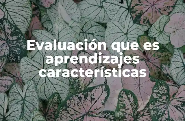 Evaluación que es Aprendizajes Características