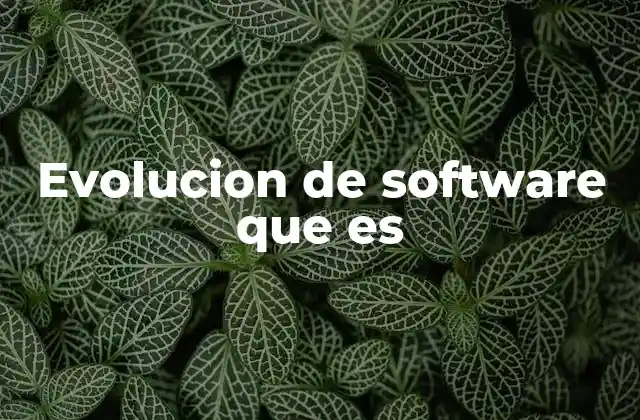 Evolucion de Software que es