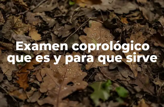 Examen Coprológico que es y para que Sirve