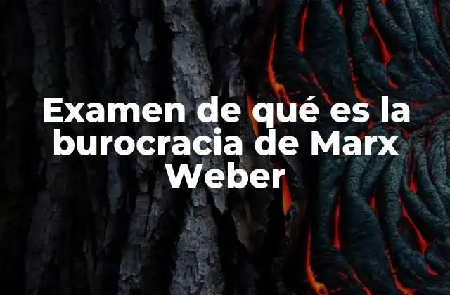 Examen de Qué es la Burocracia de Marx Weber