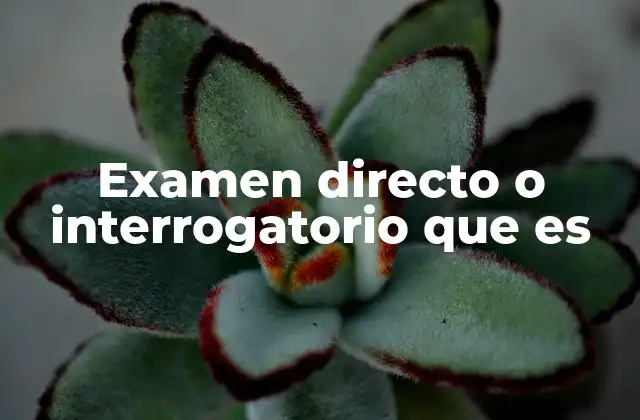 Examen Directo o Interrogatorio que es