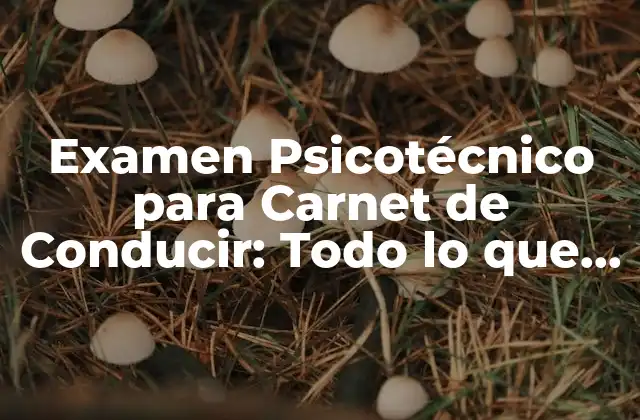 Examen Psicotécnico para Carnet de Conducir: Todo Lo que Necesitas Saber