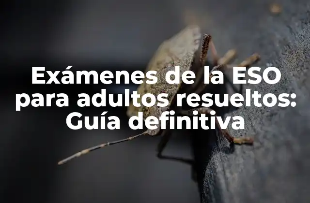 Exámenes de la Eso para Adultos Resueltos: Guía Definitiva