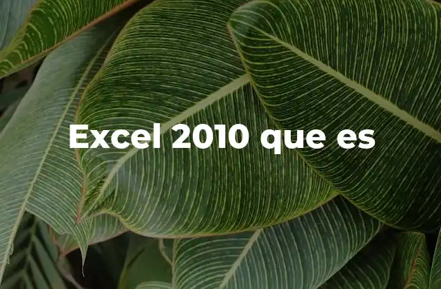 Excel 2010 que es