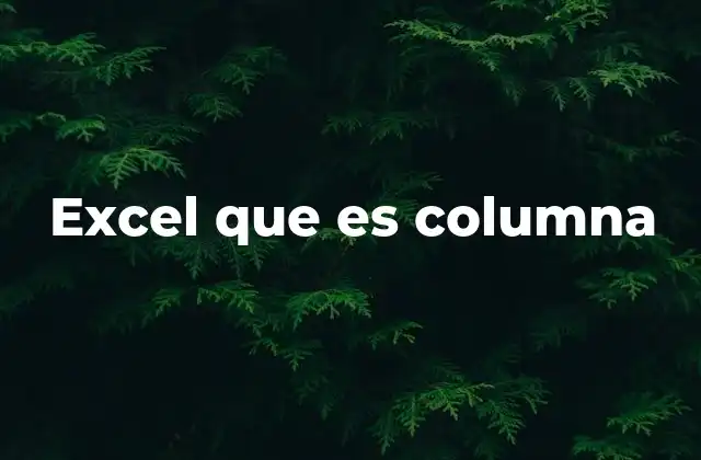 La importancia de las columnas en la organización de datos