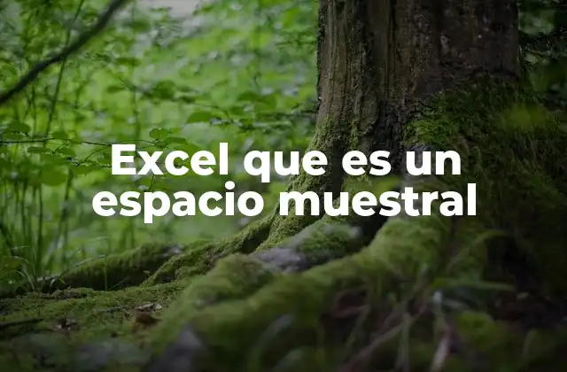 Excel que es un Espacio Muestral