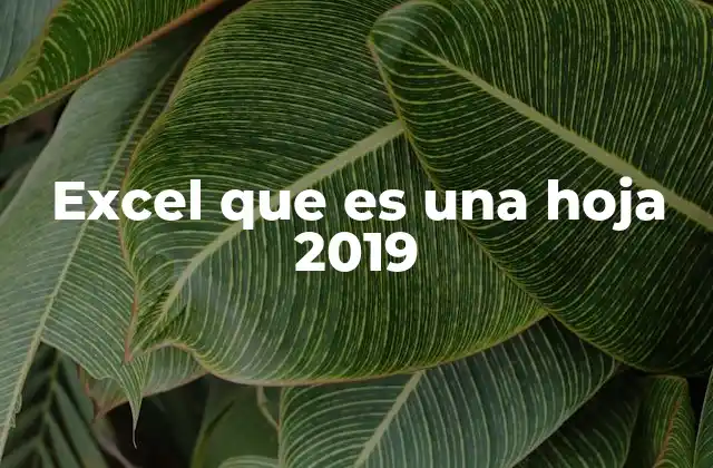 Excel que es una Hoja 2019 2 La evolución de Excel hasta su versión 2019