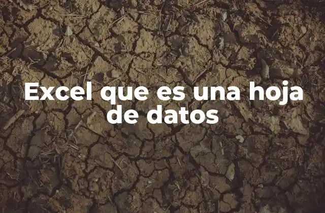 Excel que es una Hoja de Datos