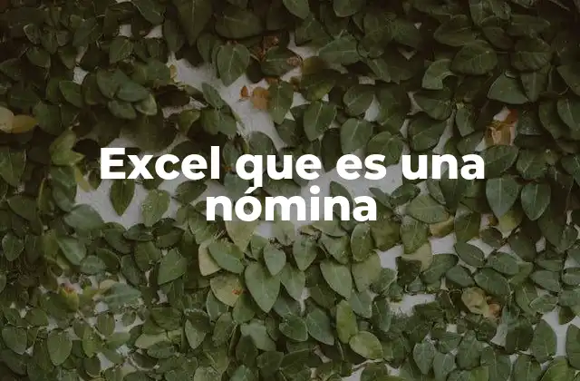 Excel que es una Nómina