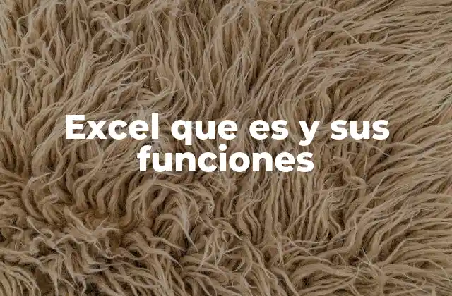 Excel que es y Sus Funciones