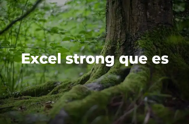 Excel Strong que es 2 El poder de Excel en el entorno profesional