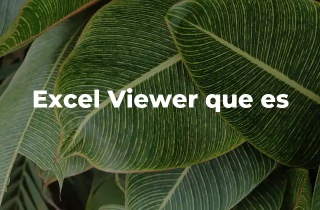 Excel Viewer que es
