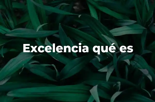 Excelencia Qué es 2 La excelencia como pilar del liderazgo efectivo