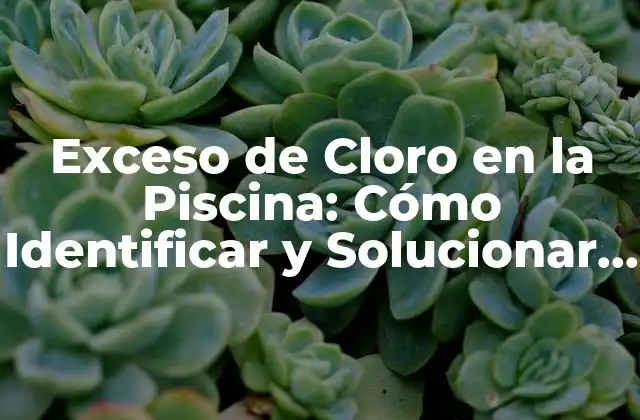 ¿Cuál es el Nivel Adecuado de Cloro en la Piscina?