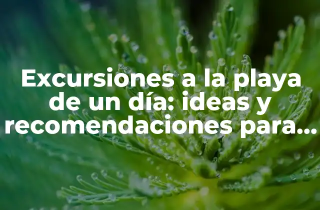 Excursiones a la Playa de un Día: Ideas y Recomendaciones para Disfrutar Al Máximo