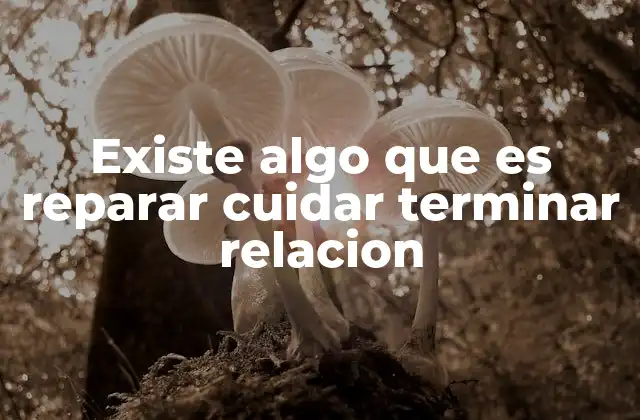 Existe Algo que es Reparar Cuidar Terminar Relacion