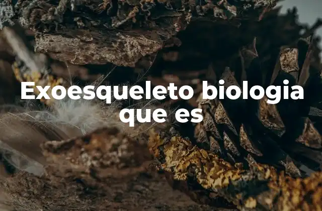 Exoesqueleto Biologia que es