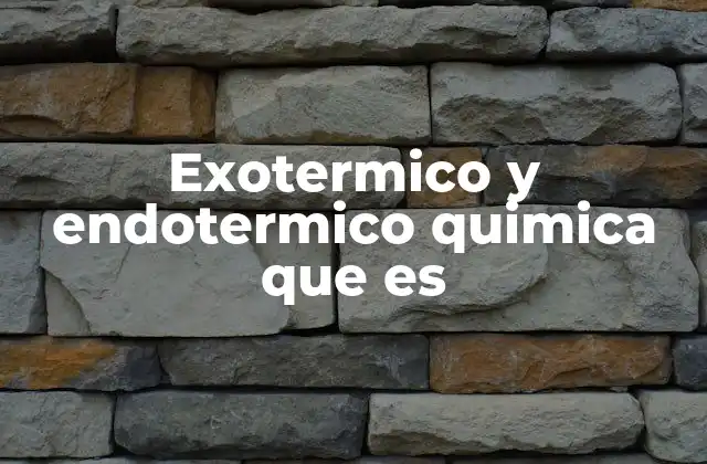 Exotermico y Endotermico Quimica que es