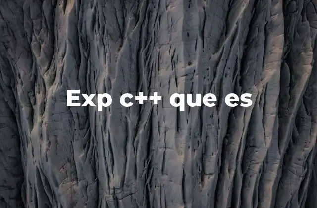 Exp C++ que es