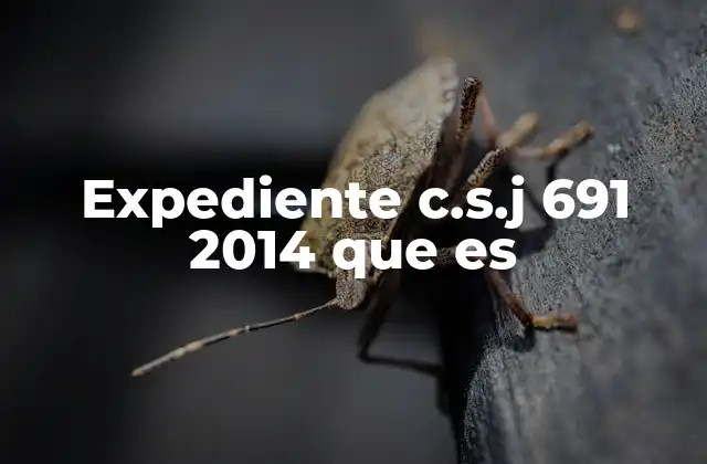 Expediente C.s.j 691 2014 que es