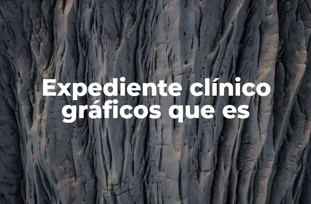 Expediente Clínico Gráficos que es