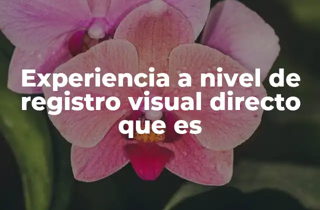 Experiencia a Nivel de Registro Visual Directo que es