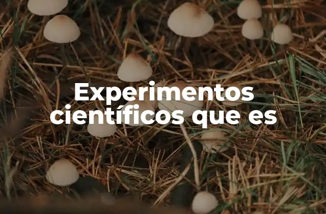 Experimentos Científicos que es 2 La importancia de los experimentos en el avance del conocimiento