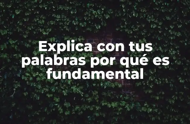 Explica con Tus Palabras por Qué es Fundamental 2 La importancia de la comprensión activa