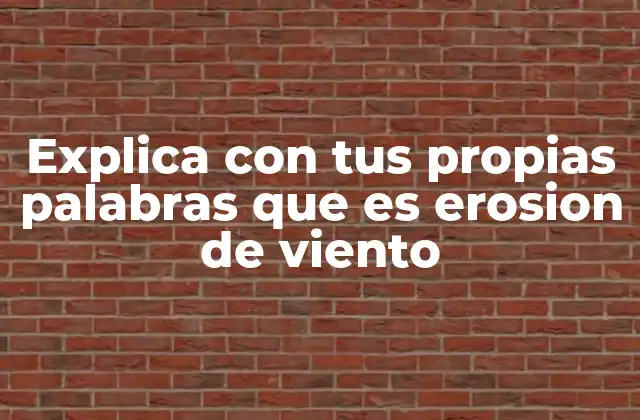 Explica con Tus Propias Palabras que es Erosion de Viento