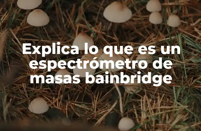 Explica Lo que es un Espectrómetro de Masas Bainbridge