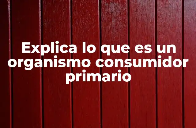 Explica Lo que es un Organismo Consumidor Primario