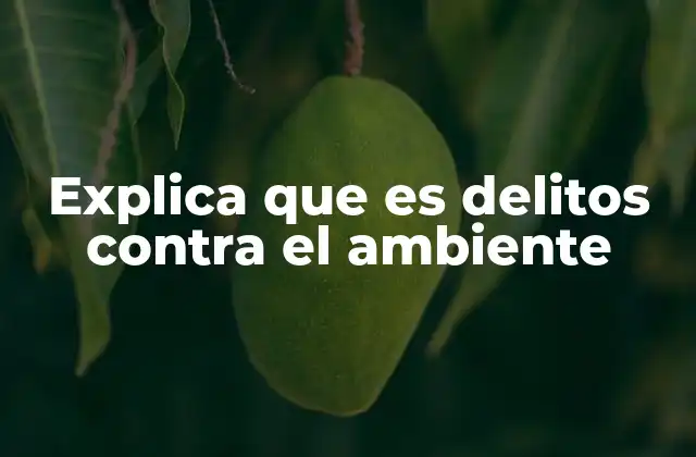 El impacto de las acciones humanas en la sostenibilidad del planeta