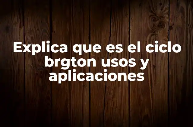 Explica que es el Ciclo Brgton Usos y Aplicaciones
