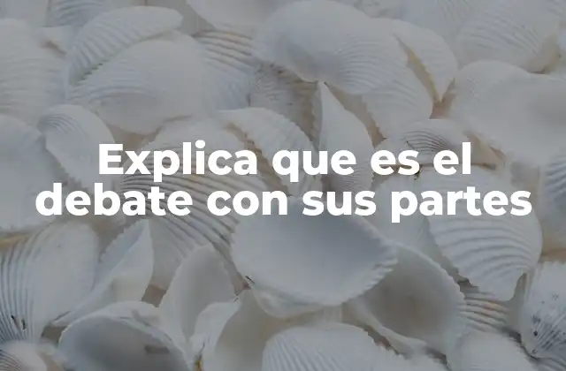 Explica que es el Debate con Sus Partes