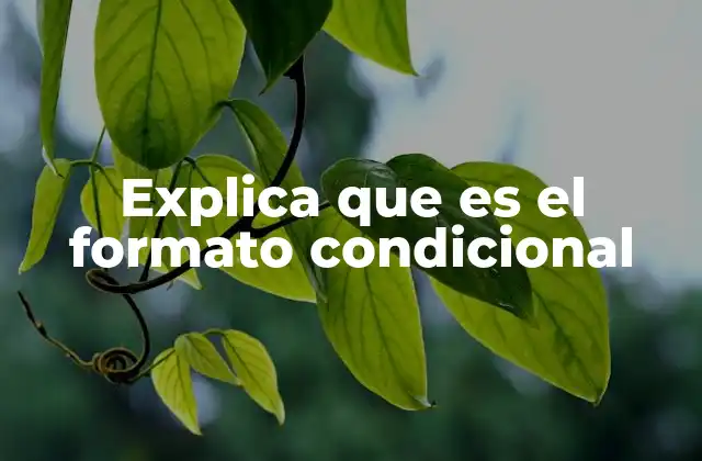 Explica que es el Formato Condicional
