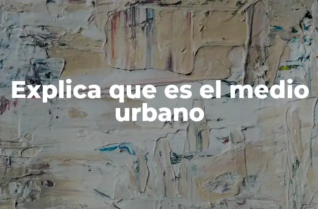Explica que es el Medio Urbano 2 Características del entorno urbano