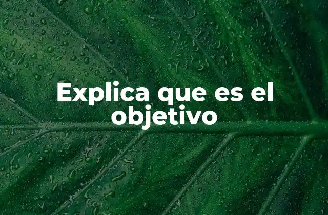 Explica que es el Objetivo