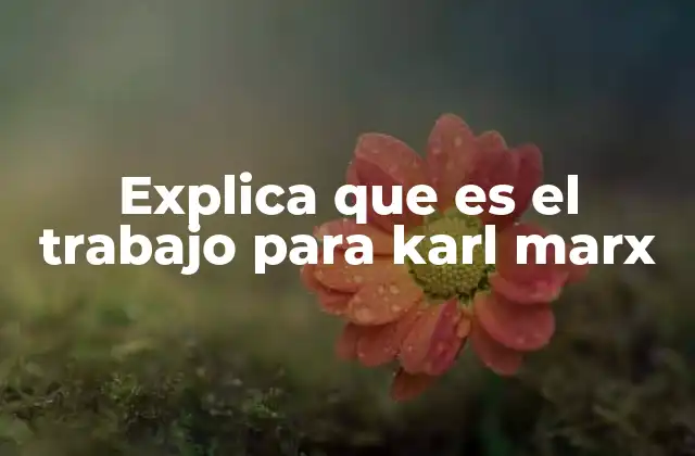Explica que es el Trabajo para Karl Marx
