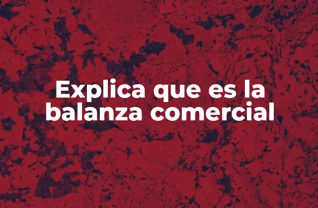 Explica que es la Balanza Comercial